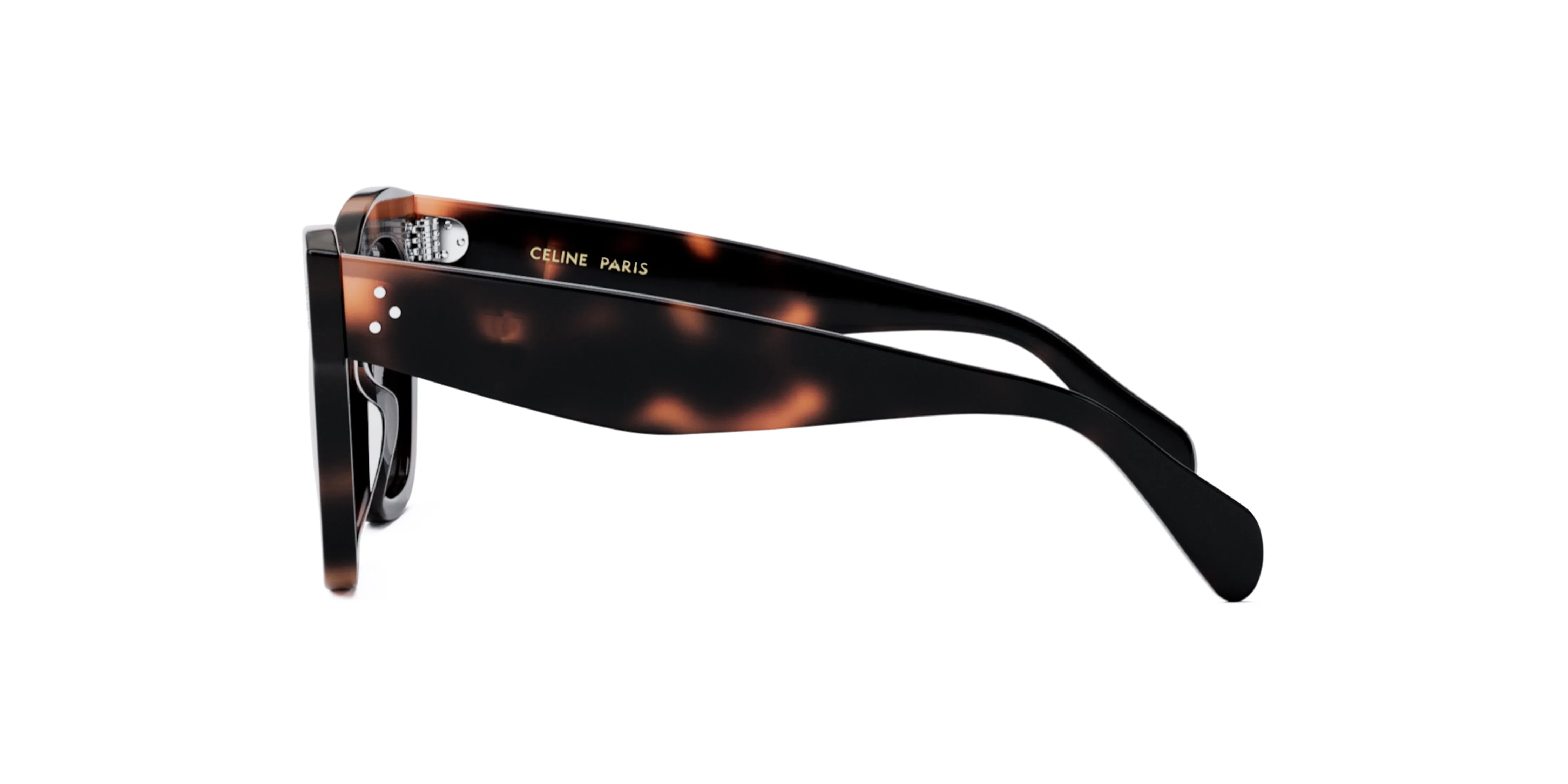 Bold 3 Dots CL4004IN Celine Sunglasses
