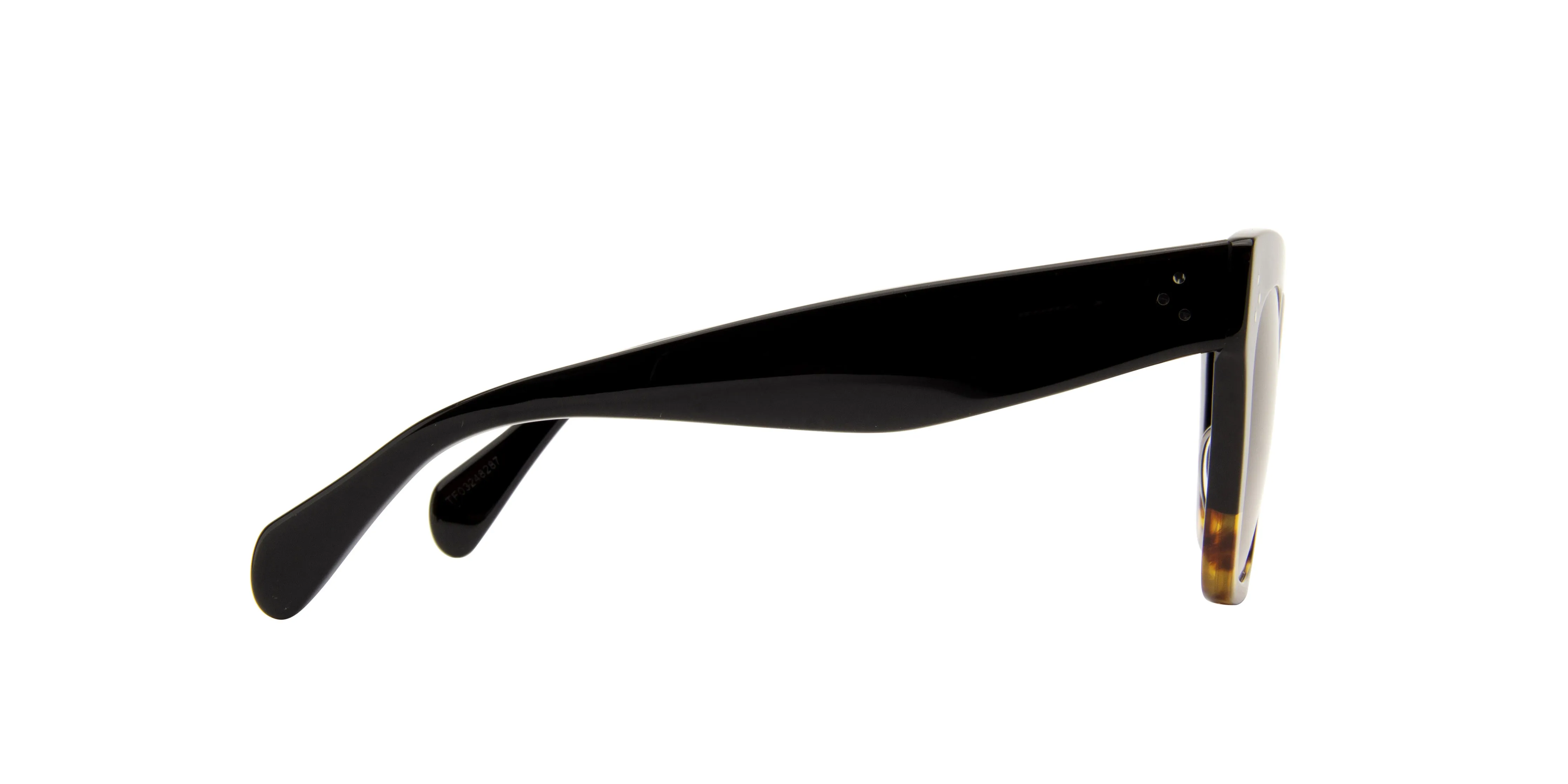 Bold 3 Dots CL4004IN Celine Sunglasses