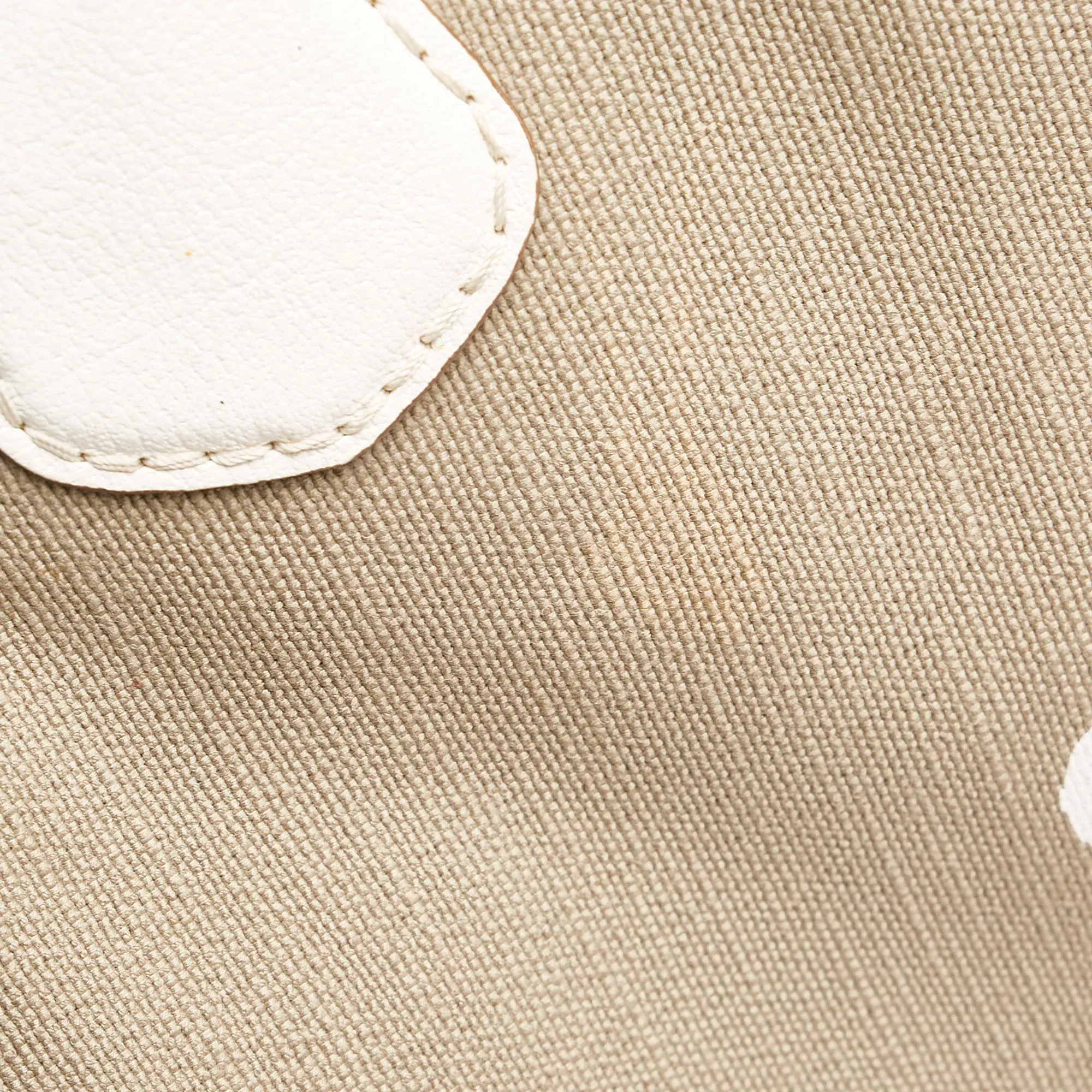 Celine Triomphe Logo Canvas Tote