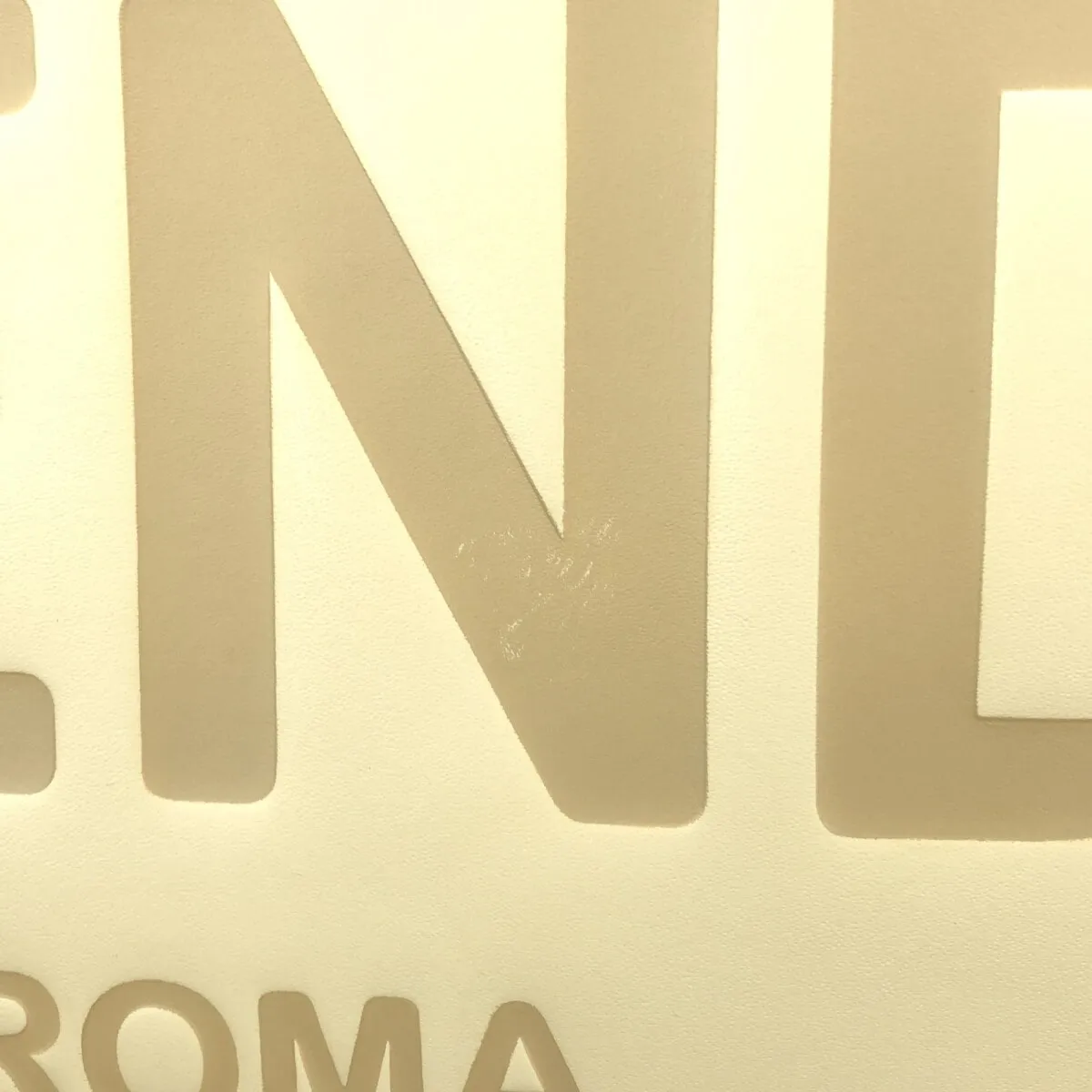 Fendi Sunshine