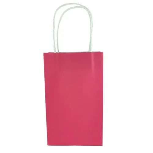 Fuchsia Paper Party Bag 21.5cm x 13cm x 8cm 5pk