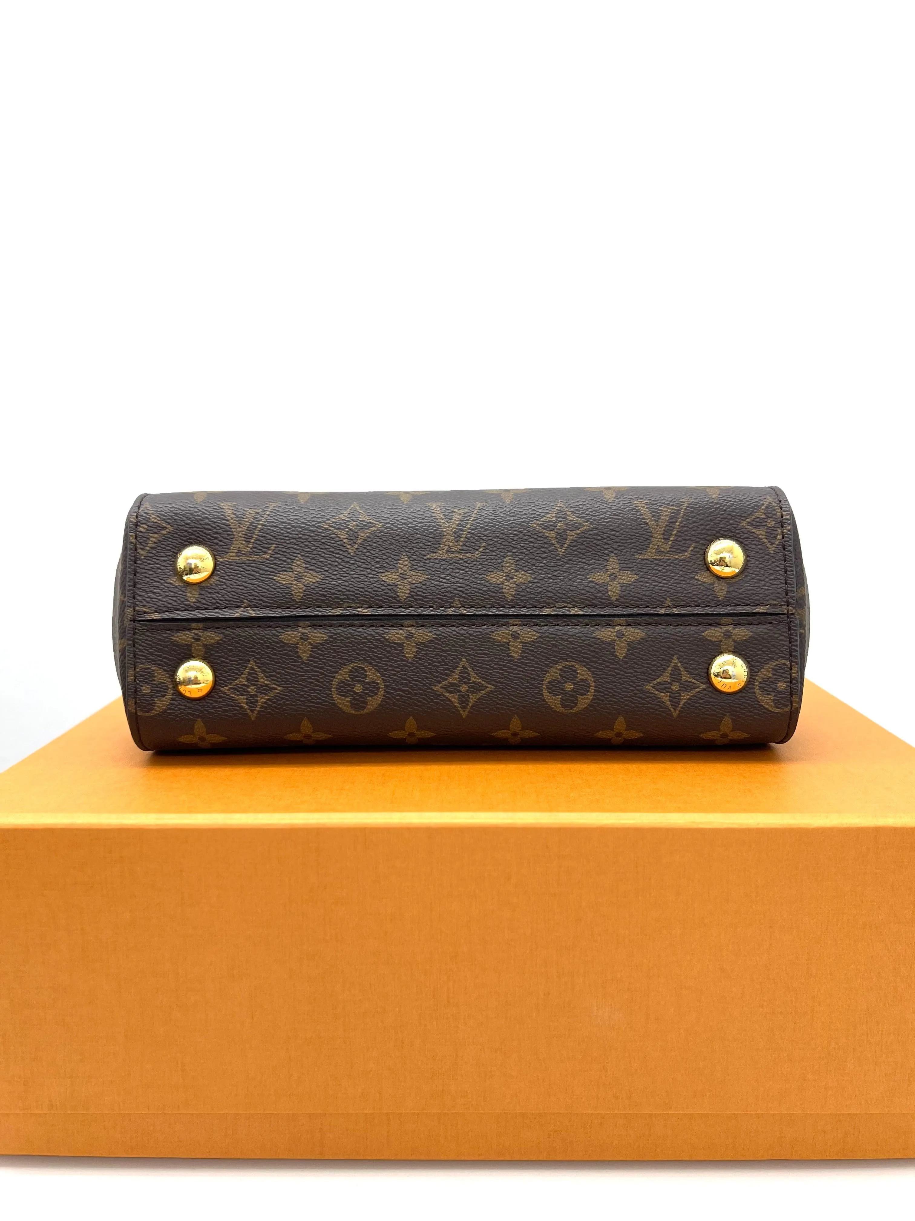 Louis Vuitton Cluny BB Monogram Canvas