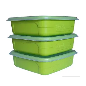 MISS MOLLY Food Saver Set Regal 400ml Avo ( 3 Pack) BPA-Free