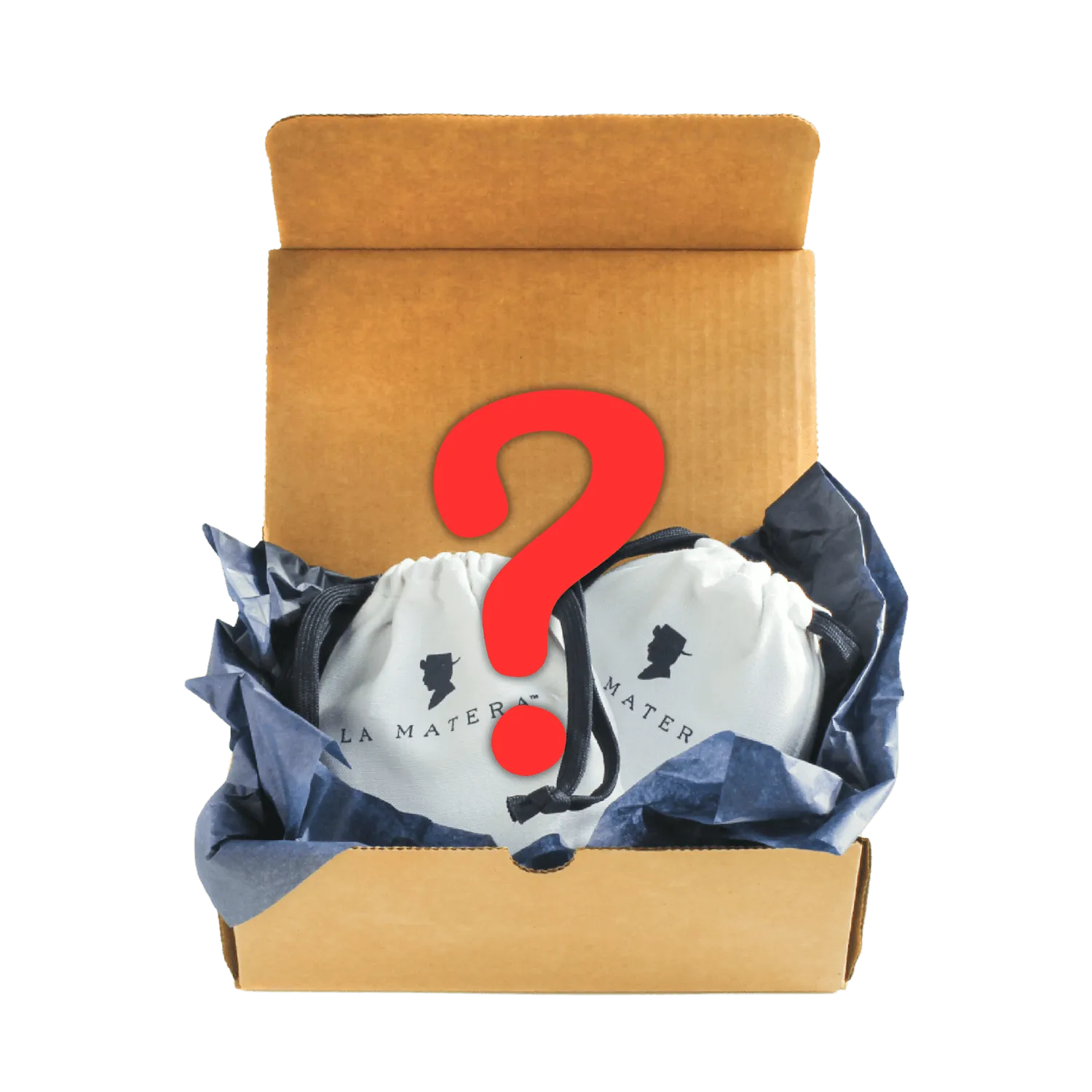 Mystery Gift