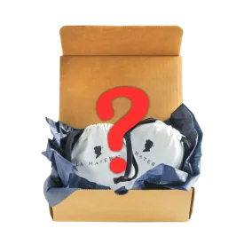 Mystery Gift