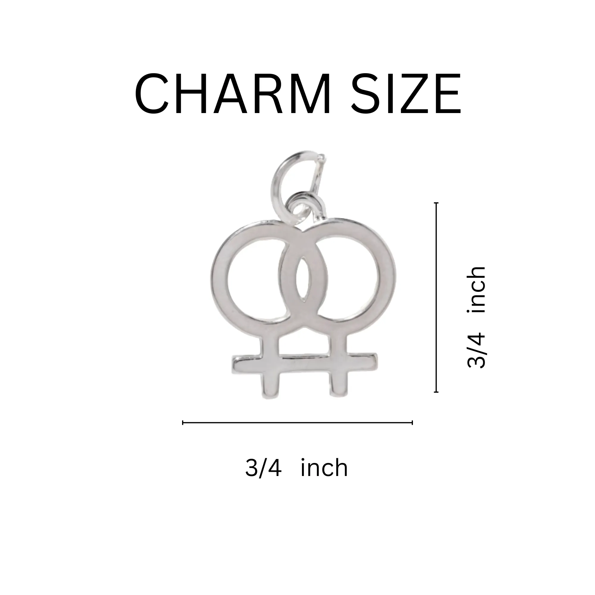 Same Sex Female Lesbian Symbol Split Ring Key Chains